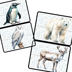 Arctic Animals Pack 2025  w wersji PDF - 67 stron A4