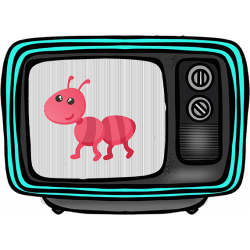 Bugs TV - 9 flashcards wraz z podpisami trzy rodzaje w wersji PDF