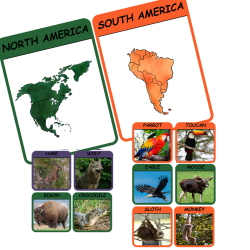 Continents & Animals  w wersji PDF 